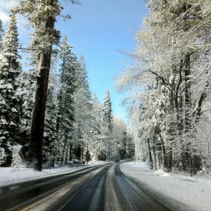 IMG_0550.jpeg