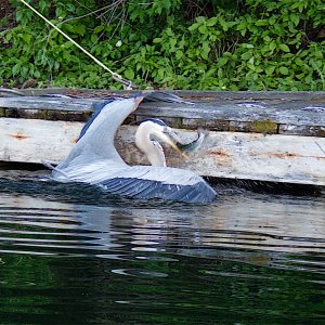 GoneFishin2.jpg