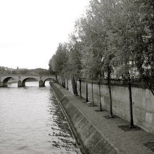 IMG_4604.jpeg