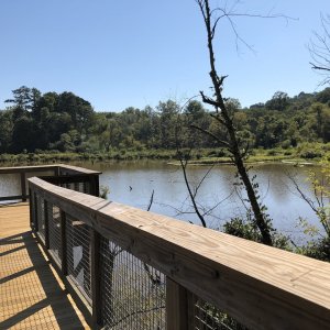 IMG_1304.jpeg