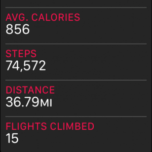 steps.png