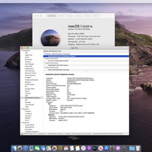 Screenshot 2019-08-21 at 14.48.14.jpg