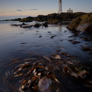 Corsewall Kelp Beds small PL.png
