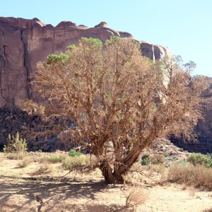 DWF_6508.JPG