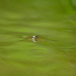 DSCF1276.jpg