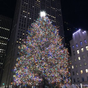 IMG_0239.jpeg
