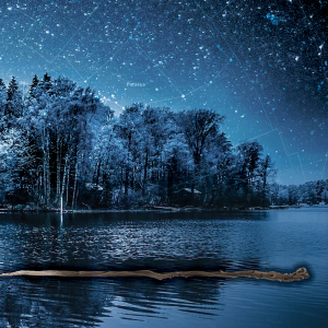 Screen Shot 2023-06-04 at 4.34.12 PM.png