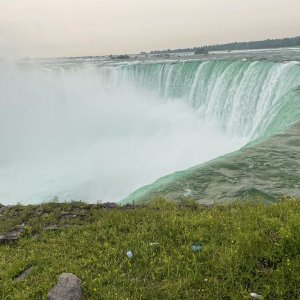IMG_1423.jpeg