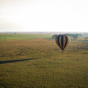 IMG_3069.jpg