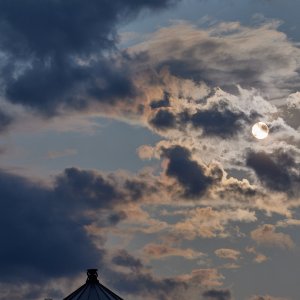 2023-06-05 ~ _R5_6561.jpg
