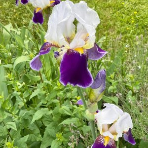 unnamed-6.jpg