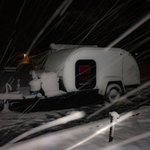 IMG_0708.jpg