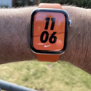 IMG_5360.jpeg