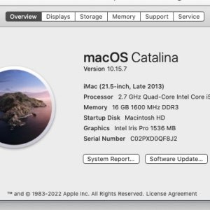 Screen Shot 2023-06-09 at 1.58.27 PM.jpg