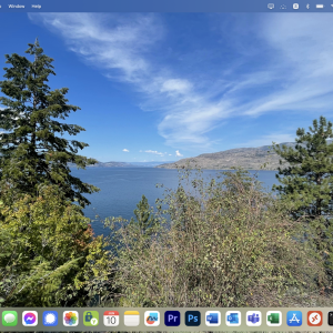 Screenshot 2023-06-10 at 4.49.18 PM.png