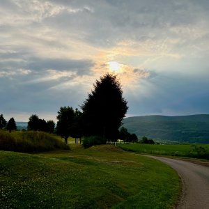 IMG_8463.jpg