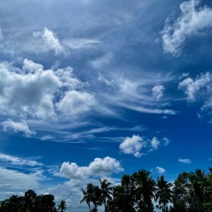 IMG_4978.jpeg