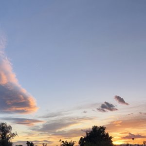 IMG_7656.jpg