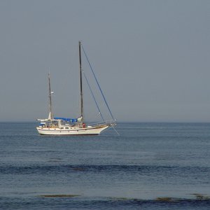 DSC02618b.jpg