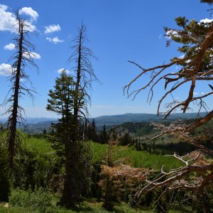 DSC_0034.JPG