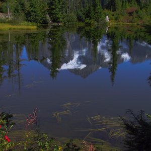 Cascades_IMG_5965.jpg