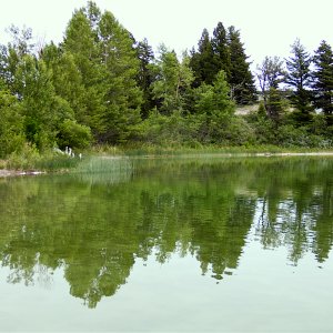 Reflections_1.jpg