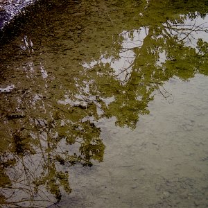 Reflections_6.jpg