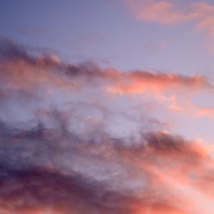2023-06-21 ~ _R5_8704.jpg