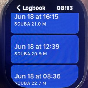 LogbookWatch2.jpg