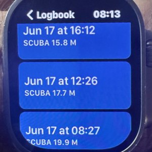 LogbookWatch1.jpg