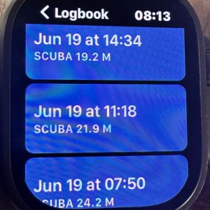 LogbookWatch3.jpg