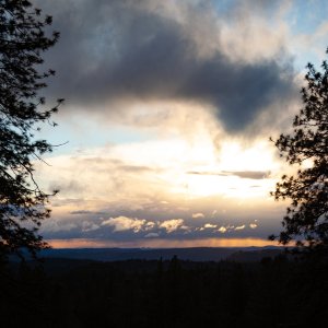 _MG_8893.jpg