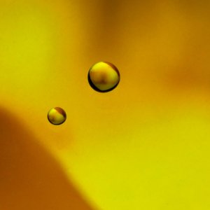 Little Planets.jpeg