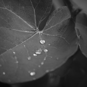 DSCF1359.jpg