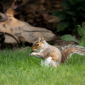 _DSC4965.jpg