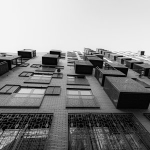 _MG_2819.jpg