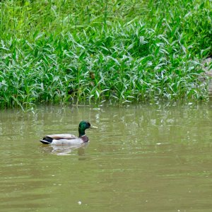 DSCF1289.jpg