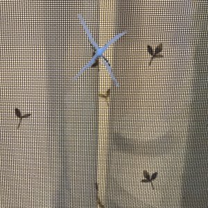 IMG_4908.jpeg