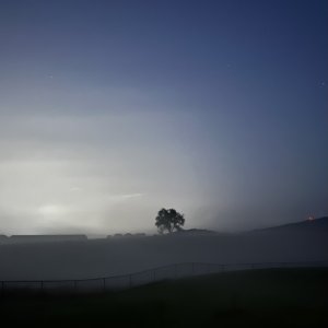 IMG_0286.jpeg