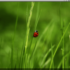 Screenshot 2023-07-01 at 18.01.10.png