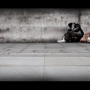 IMG_0248.jpeg