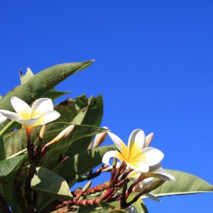 IMG_0688.jpeg