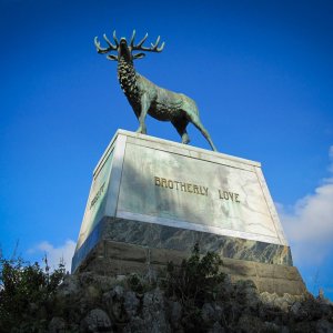 IMG_4048.jpg