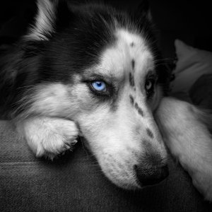 IMG_9490.jpeg