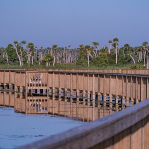 Wetlands June 2023 - 2500px-11.jpg