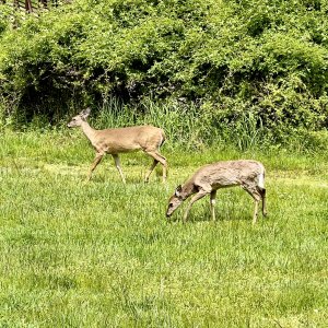 IMG_5474.jpg