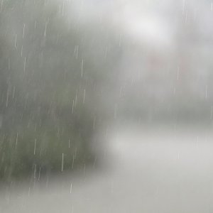 Low Visibility in Torrential Rain.jpeg