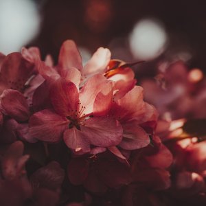 _DSC2584.jpeg