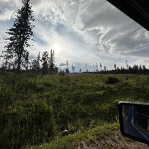 IMG_1345.jpeg