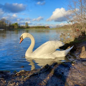 TILGATE PARK - 02.01.23_18.jpg